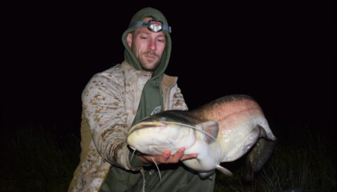 A grass carp from Beaurepaire, Adam Gartlan, Jun 2019