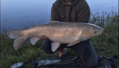 A 28 lb 10 oz grass carp from Beaurepaire, Apr 2019