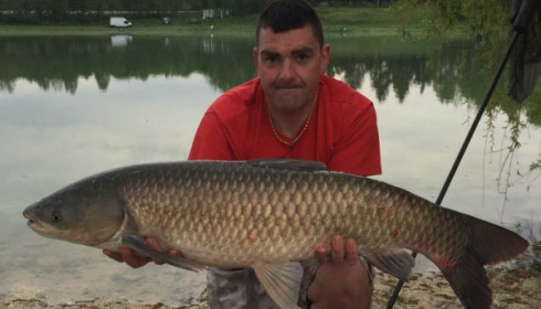 A grass carp from Beaurepaire, Matt Hodgson's Party, May 2015