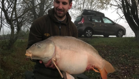 A 35 lb carp from Beaurepaire, Jay, Nov 2017