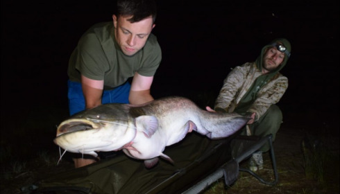 A 44 lb catfish from Beaurepaire, Shane Moody , Jun 2019