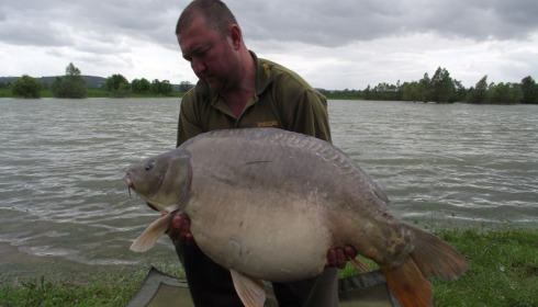 A 48 lb carp from Beaurepaire, matt Hope, May 2012