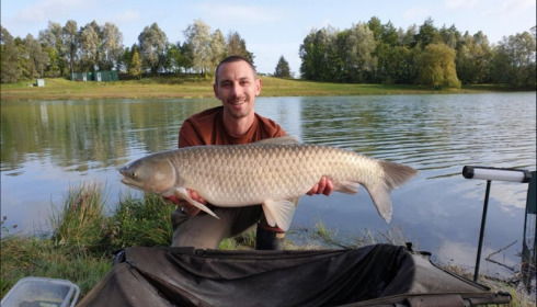 A carp from Beaurepaire, Andrew Robinson, Sep 2019