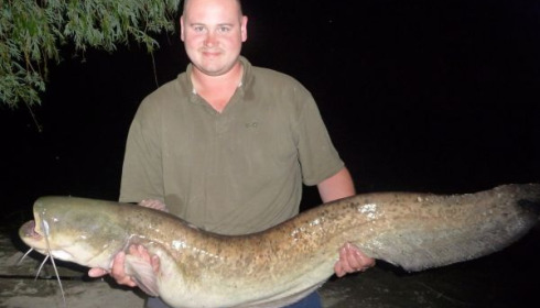 A 37 lb 5 oz catfish from Beaurepaire, Ben Piosek, Jun 2011