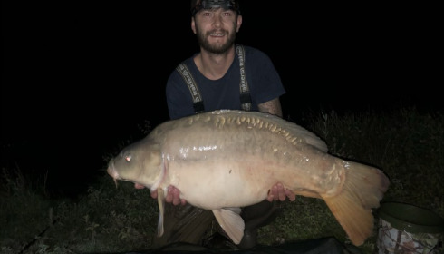 A carp from Beaurepaire, Andrew Robinson, Sep 2019