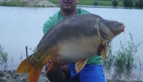 A 31 lb 12 oz carp from Beaurepaire, Wayne Fearon, Aug 2006