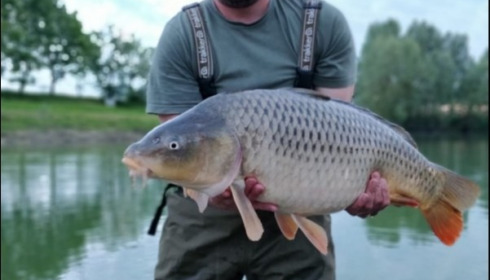 A 25 lb carp from Beaurepaire, Jun 2019