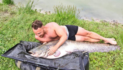 A catfish from Beaurepaire, Jun 2017