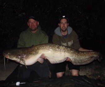 A 54 lb catfish from Beaurepaire, Paul Pipcin, Sep 2013