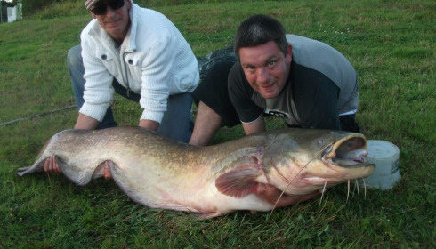 A 85 lb 6 oz catfish from Beaurepaire, Anthony Boxall, Sep 2015