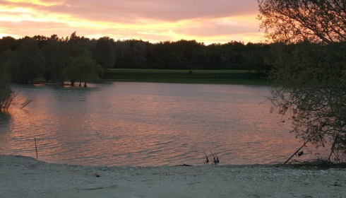 A carp from Beaurepaire, May 2015