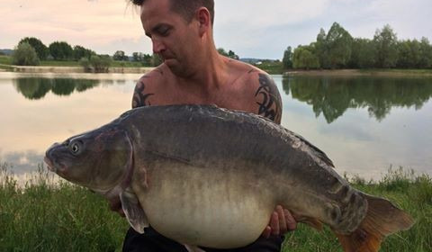 A carp from Beaurepaire, Jun 2017