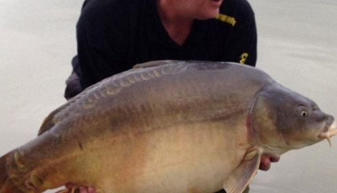 A 44 lb carp from Beaurepaire, Mark Mulchrone, Oct 2013