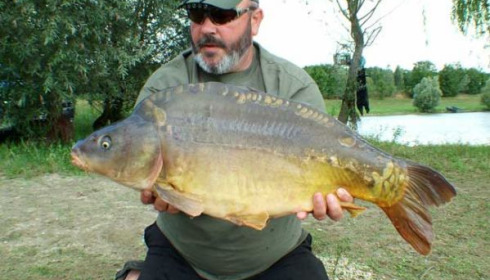 A carp from Beaurepaire, Aug 2006