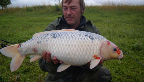 A fish from Beaurepaire, Harrison, Jul 2011