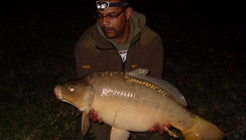 A carp from Beaurepaire, Carl Clarke, May 2010