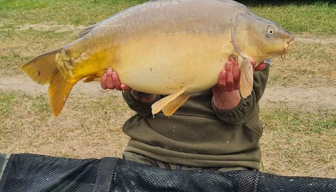 A carp from Beaurepaire, Apr 2022
