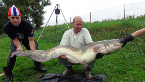 A 64 lb catfish from Beaurepaire, Dick Booijen, Oct 2013