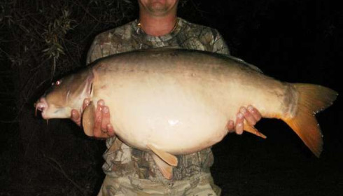 A 41 lb 11 oz carp from Beaurepaire, Anthony Kingsley, Oct 2010