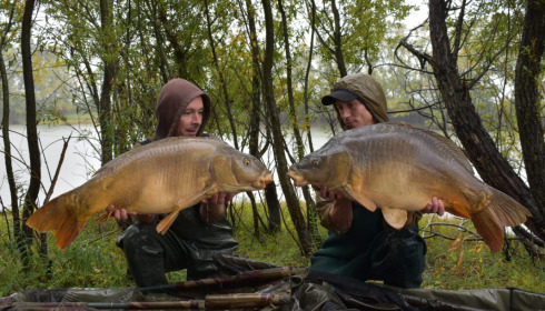 A fish from Beaurepaire, Oct 2022