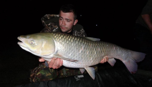 A 27 lb carp from Beaurepaire, K Wilks, Apr 2012