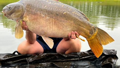 A 44 lb 6 oz fish from Beaurepaire, Mirror carp (New PB), Jul 2022