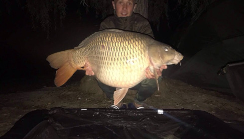 A 36 lb carp from Beaurepaire, Mark Hobbs, Sep 2017