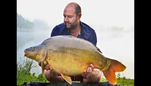 A carp from Beaurepaire, Jun 2017