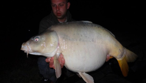 A carp from Beaurepaire, Ben Hopkins, Apr 2012