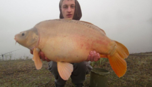 A carp from Beaurepaire, D Yardley, Apr 2012