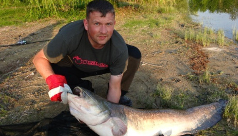 A catfish from Beaurepaire, Patrick Gillett Group, May 2014