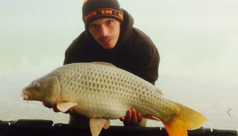 A carp from Beaurepaire, Gary Hayter, Sep 2014