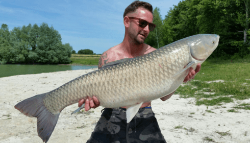 A 38 lb grass carp from Beaurepaire, Wayne, Jun 2015