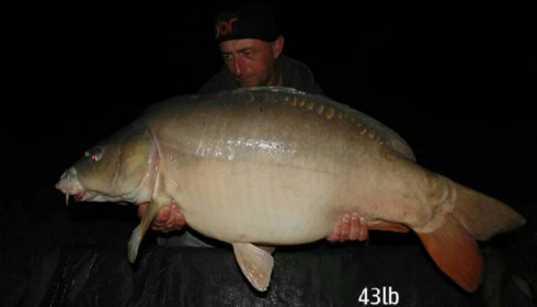 A 43 lb carp from Beaurepaire, Dean Thomson, Sep 2013