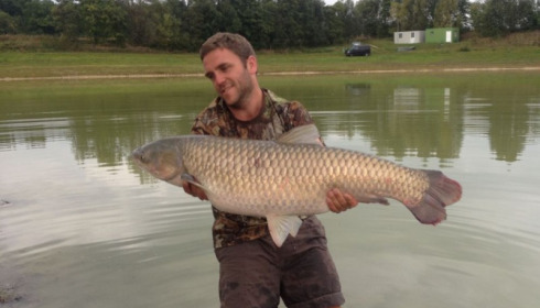 A grass carp from Beaurepaire, Darryl Gooderham, Sep 2014