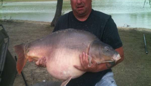 A 51 lb 10 oz carp from Beaurepaire, Dale, Aug 2011