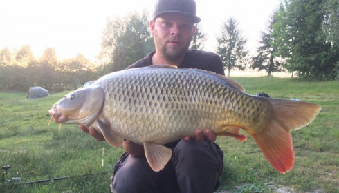 A carp from Beaurepaire, Jun 2017