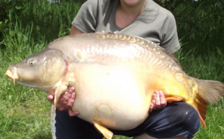 A 44 lb 12 oz carp from Beaurepaire, Melanie Hope, May 2012