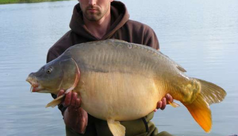 A 43 lb 13 oz carp from Beaurepaire, May 2009