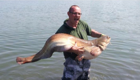 A 62 lb 15 oz catfish from Beaurepaire, Paul Marshment, Apr 2013
