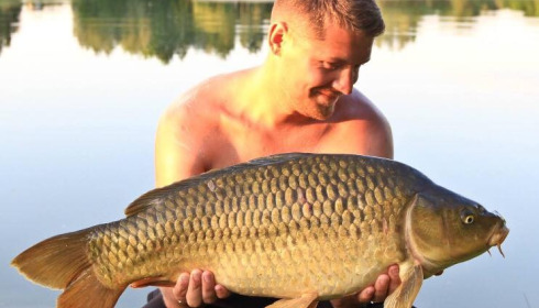 A carp from Beaurepaire, Jun 2017