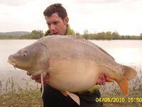 A carp from Beaurepaire, Carl Clarke, May 2010