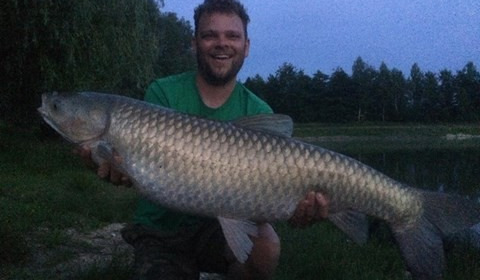 A grass carp from Beaurepaire, Jun 2017