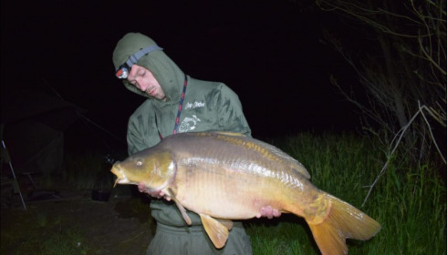 A carp from Beaurepaire, Adam Gartlan, Jun 2019