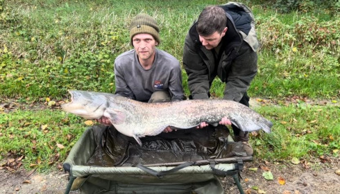 A 44 lb catfish from Beaurepaire, Paul Macdonald, Nov 2022
