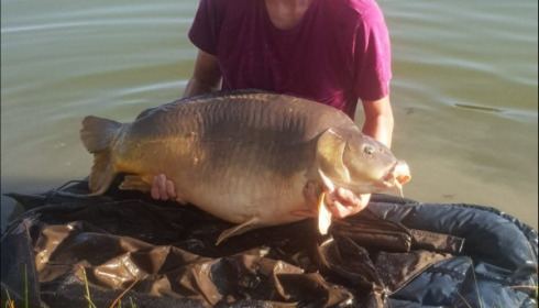 A 42 lb 6 oz carp from Beaurepaire, Paul Lewis, Aug 2019