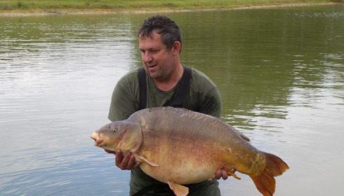 A carp from Beaurepaire, Sep 2017