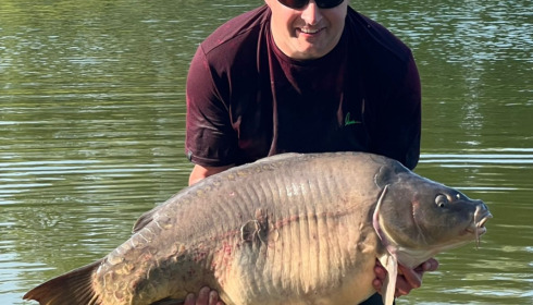 A fish from Beaurepaire, Jul 2023