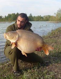 A carp from Beaurepaire, Carl Clarke, May 2010