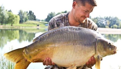 A carp from Beaurepaire, Jun 2017